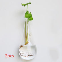 Load image into Gallery viewer, Fashion Wall Hanging Glass Flower Vase Terrarium Wall Fish Tank Aquarium Container Flower Planter Pots Home Garden Decoration
