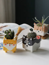 Load image into Gallery viewer, Creative Personality Cute Small Ceramic Flowerpot
