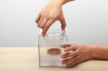 Load image into Gallery viewer, Fish Tank Flowerpot
