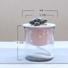 Load image into Gallery viewer, Cartoon glass ceramic flower pot
