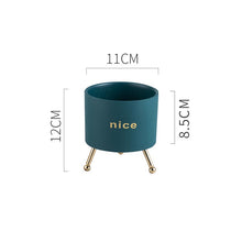 Load image into Gallery viewer, Creative Personality Iron Ceramic Flowerpot
