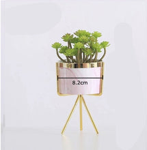 Load image into Gallery viewer, Pink marbled succulent flower pot
