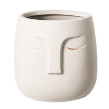 Load image into Gallery viewer, Nordic Abstract Figure Flower Pot Modeling
