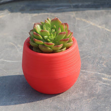 Load image into Gallery viewer, Round plastic plant pot
