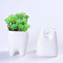 Load image into Gallery viewer, Teeth flower pot simple dehua white porcelain succulent potted tabletop flower pot potted ornaments
