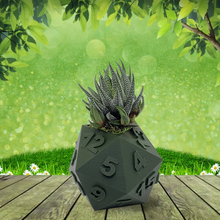 Load image into Gallery viewer, 3D Printed Plant Pot Table Top RPG Dice Succulent Planter Set Home Decoration Multifunction Garden Flower Pot
