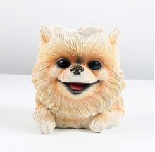 Load image into Gallery viewer, Fleshy Animals are Home Furnishings for Plants and POTS
