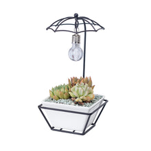 Load image into Gallery viewer, Umbrella-shaped iron flower pot
