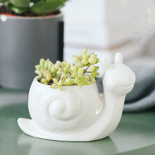 Load image into Gallery viewer, Succulent ceramic flowerpot
