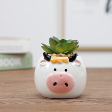 Load image into Gallery viewer, Ceramic flower pot
