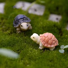 Load image into Gallery viewer, Moss micro landscape little turtle
