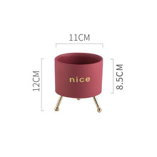 Load image into Gallery viewer, Creative Personality Iron Ceramic Flowerpot
