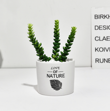 Load image into Gallery viewer, Succulent simulation plant small potted cactus ball
