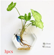 Load image into Gallery viewer, Fashion Wall Hanging Glass Flower Vase Terrarium Wall Fish Tank Aquarium Container Flower Planter Pots Home Garden Decoration

