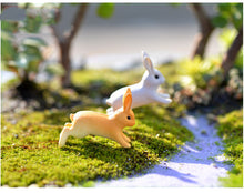 Load image into Gallery viewer, Moss Micro Landscape Decoration DIY Assembly
