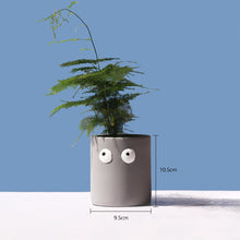 Load image into Gallery viewer, Cement Flowerpot Big Eyes Creative Tabletop Succulent Flowerer
