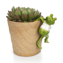 Load image into Gallery viewer, Frog potted ornament

