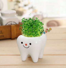 Load image into Gallery viewer, Teeth flower pot simple dehua white porcelain succulent potted tabletop flower pot potted ornaments
