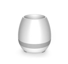 Load image into Gallery viewer, Music Flowerpot

