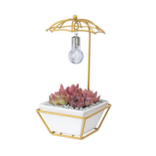 Load image into Gallery viewer, Umbrella-shaped iron flower pot
