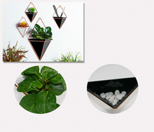 Load image into Gallery viewer, Creative home three-dimensional wall decoration flower pot
