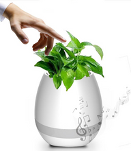 Load image into Gallery viewer, Music Flowerpot
