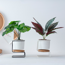 Load image into Gallery viewer, Geometric ceramic green plant pot
