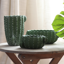 Load image into Gallery viewer, Cactus flower pot
