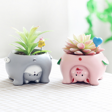 Load image into Gallery viewer, Come and see the world's succulent plant pots
