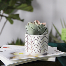 Load image into Gallery viewer, Modern And Simple Ceramic Flower Pots Home Fashion Green Planting Pots
