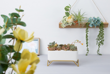 Load image into Gallery viewer, Huaxiaju Simple Nordic Creative Rectangular Succulent Flower Pot
