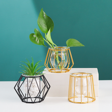 Load image into Gallery viewer, Simple Ins Hydroponic Small Vase Creative Glass Transparent Flower Water Plant Decoration Ornaments
