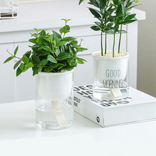 Load image into Gallery viewer, Succulent Flower Ceramic Pot Hydroponic Nordic Style Green Radish Self-Absorbent Glass Flower Pot Decoration New
