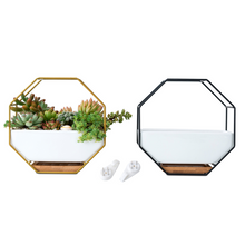 Load image into Gallery viewer, Nordic Minimalist Creative Geometric Wrought Iron Metal Bracket Ceramic Flower Pot Set Succulents Green Plants Potted Ornaments
