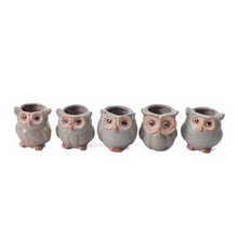 Load image into Gallery viewer, Owl Shape Garden Flower Pot Desk Plant Pot Creative Design
