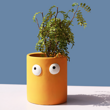 Load image into Gallery viewer, Cement Flowerpot Big Eyes Creative Tabletop Succulent Flowerer
