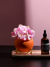 Load image into Gallery viewer, Round Ceramic Plant Pot With Gold Metal Holder
