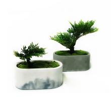 Load image into Gallery viewer, Large oval cement flowerpot mould
