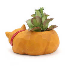 Load image into Gallery viewer, Creative three-dimensional lazy cat flower pot
