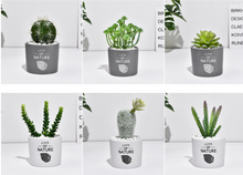 Load image into Gallery viewer, Succulent simulation plant small potted cactus ball
