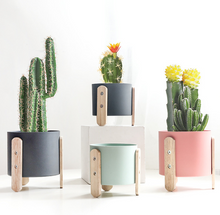 Load image into Gallery viewer, Cute flower pot
