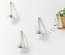 Load image into Gallery viewer, Ceramic Flower Pot
