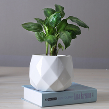 Load image into Gallery viewer, Desktop ceramic flowerpot
