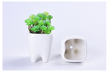 Load image into Gallery viewer, Teeth flower pot simple dehua white porcelain succulent potted tabletop flower pot potted ornaments
