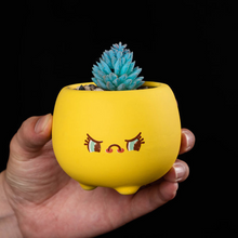 Load image into Gallery viewer, Ceramic Succulent Mini Flower Pot Set
