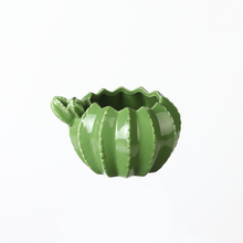 Load image into Gallery viewer, Indoor Ceramic Succulent Plant Pot Cactus Flower Pot Home Balcony Garden Decoration Ornaments
