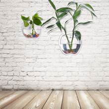 Load image into Gallery viewer, Hot wall greenkindergarten wall pot hydroponics Chlorophytum Home Furnishing study restaurant wall decorations
