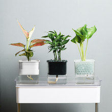 Load image into Gallery viewer, Green Radish Hydroponic Flowerpot Plastic Transparent Visible Plant Flowerpot
