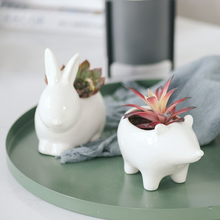Load image into Gallery viewer, Succulent ceramic flowerpot
