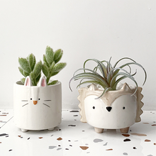 Load image into Gallery viewer, Personality succulent ceramic flowerpot
